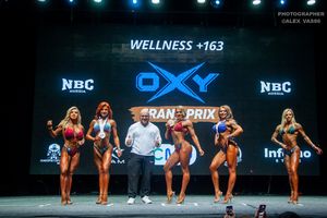 WELLNESS +163